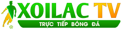 cách gấp hộp giấy